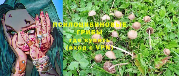 шишки Алзамай