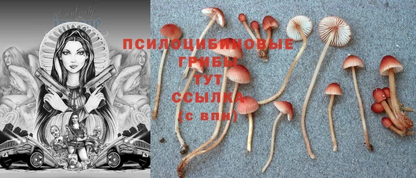 прущие крисы Алексеевка